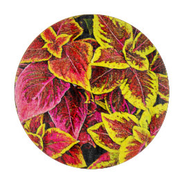 Coleus Leaf Burst Design Schneidebrett