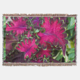 Coleus Macro Decke