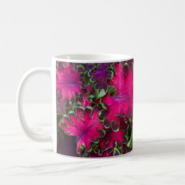 Coleus Macro Kaffeetasse (Links)