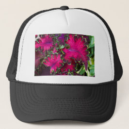 Coleus Macro Truckerkappe