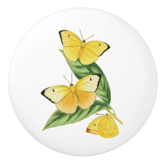 Colias Statira Butterfly Keramikknauf
