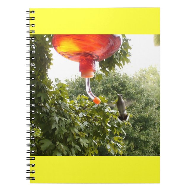 Colibri 2 Carnet (Devant)