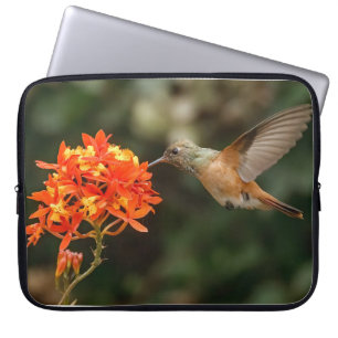 Colibri Avec Sac Électronique Fleur