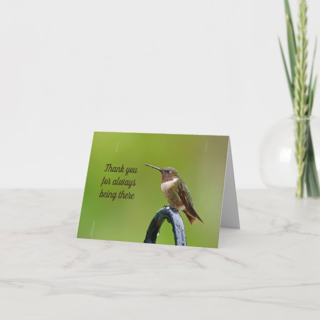 Colibri dans la carte de Merci de pluie (Devant)
