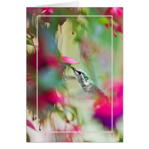 Colibri dans Soft Fuchsia Vertical.