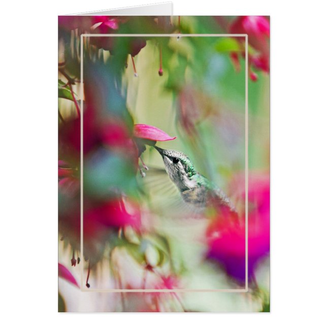 Colibri dans Soft Fuchsia Vertical. (Devant)