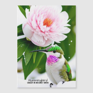 Colibri en neige - Carte magnétique de 5"x7"