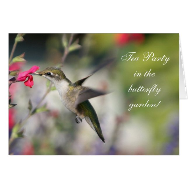 Colibri en vol (Devant horizontal)