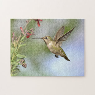 Colibri en vol avec puzzle à fleurs