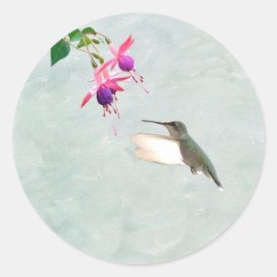 Colibri et Autocollant Fuschia