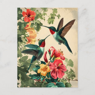 Colibri et fleurs : Carte postale Vintage