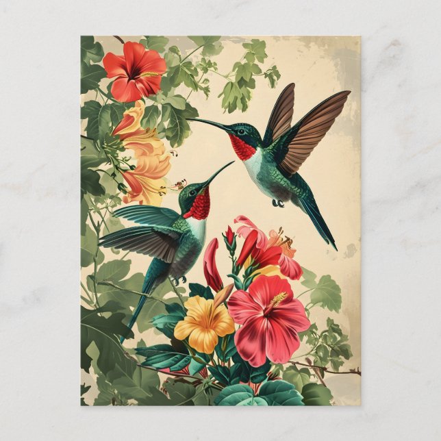 Colibri et fleurs : Carte postale Vintage (Devant)