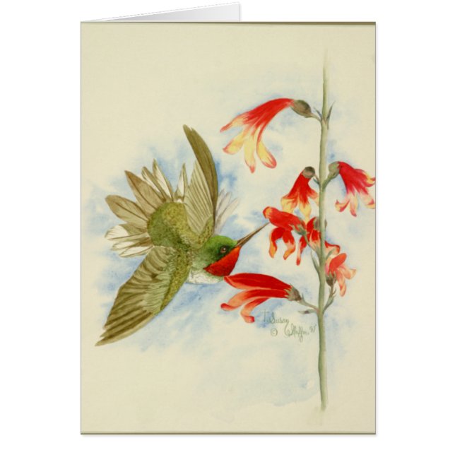 Colibri et fleurs rouges (Devant)