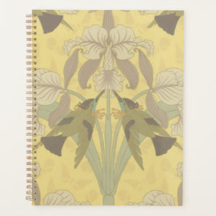 Colibri et Iris