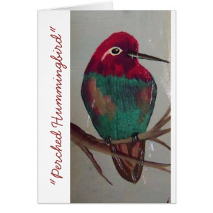 "Colibri été perché "