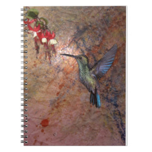 Colibri. Humingbird_. Notizblock