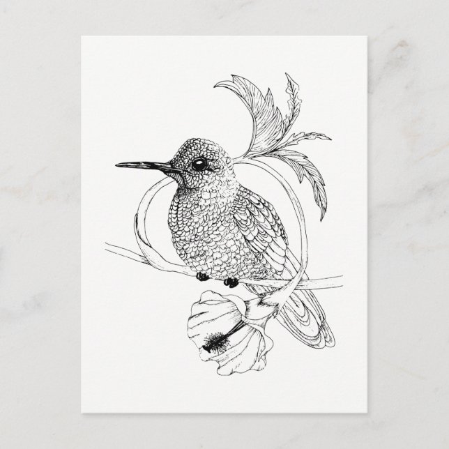 Colibri Illustration Postkarte (Vorderseite)