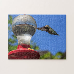 Colibri inspectant un puzzle de conducteur