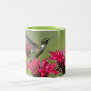 Colibri Mug à deux tons