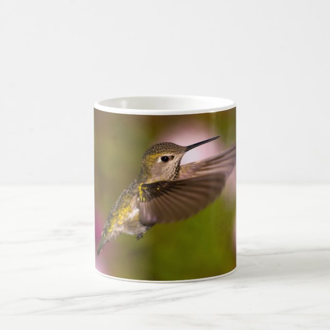 Colibri pilotant la tasse du colibri d'Anna (Centre)