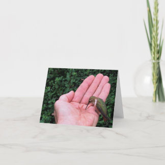 Colibri Rufous/d'Allen • Joe Sweeney - carte