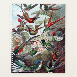 Colibri vintage