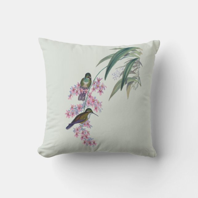 Colibris dans le coussin extérieur 16x16 (Recto)