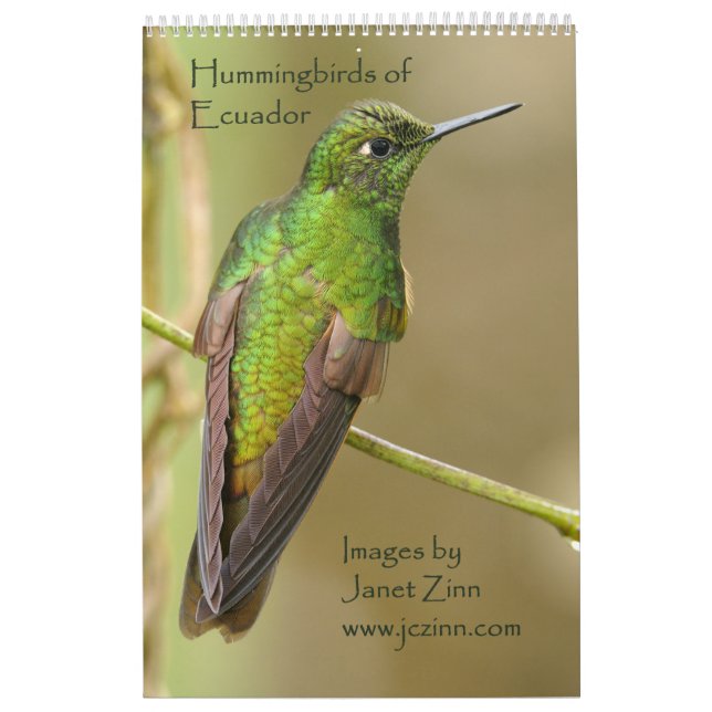 Colibris de calendrier de l'Equateur (Protection)