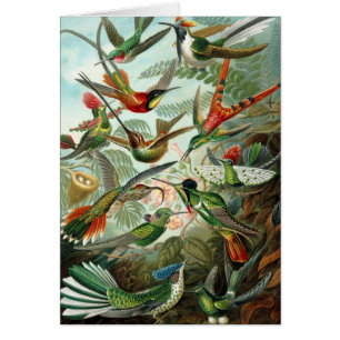 Colibris par Ernst Haeckel, Oiseaux Arbres Vintage
