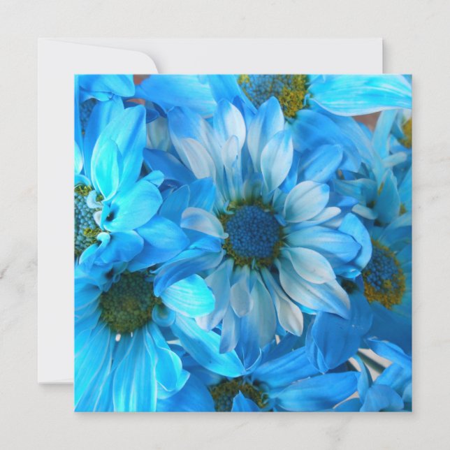 Collaert (Vorderseite)