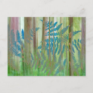 Collage aus Adlerfarnen und Wald   Seabeck, WA Postkarte
