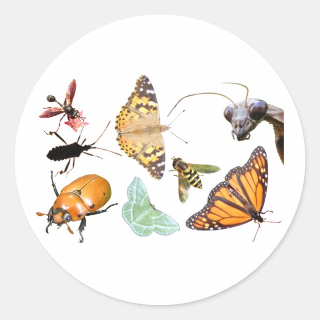 Collage de bogues ~ autocollant (Devant)