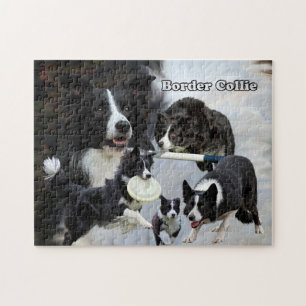 collage de border collie de puzzle de photo
