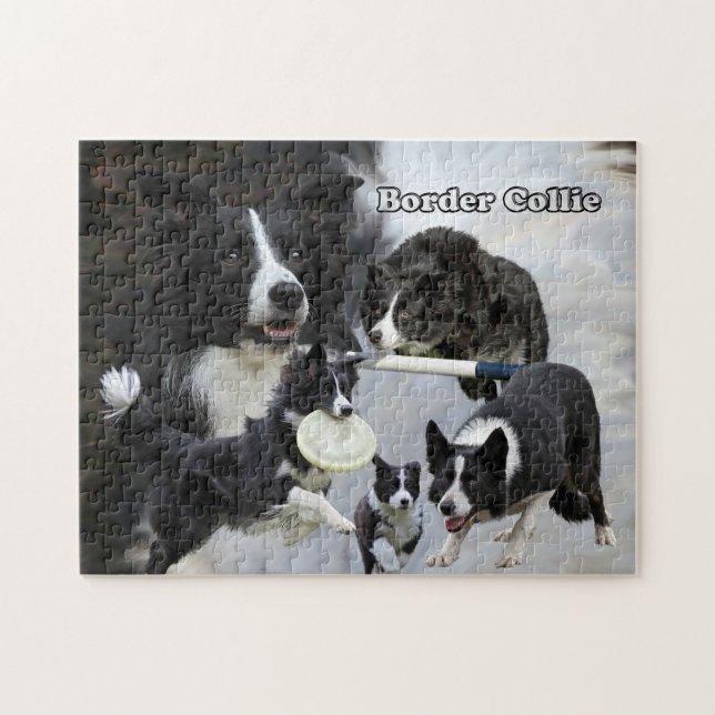 collage de border collie de puzzle de photo (Horizontal)
