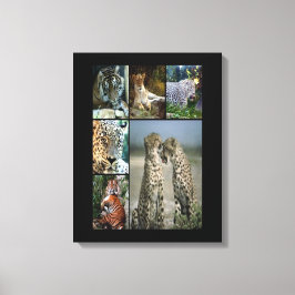 Collage de chats sauvages Toile enveloppée