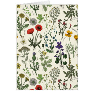 Collage de fleurs sauvages