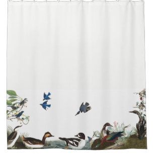 Collage de rideau en douche de faune d'Audubon