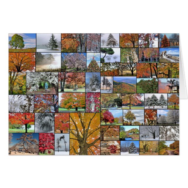 Collage des arbres saisonniers (Devant horizontal)