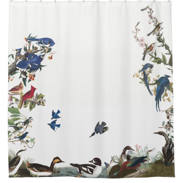 Collage des Vögel Audubon Tier-Duschvorhangs Duschvorhang (Vorderseite)