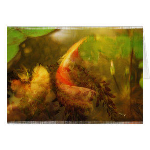 Collage d'étang de Koi - carte