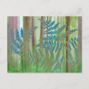 Collage of Bracken Ferns and Forest   Seabeck, WA Postkarte