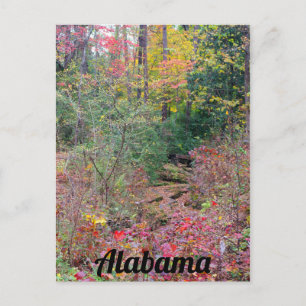 Collage of Colorful Fall Tree Postkarte