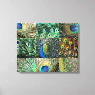 Collage of Green Blue Peacock Foto Leinwanddruck