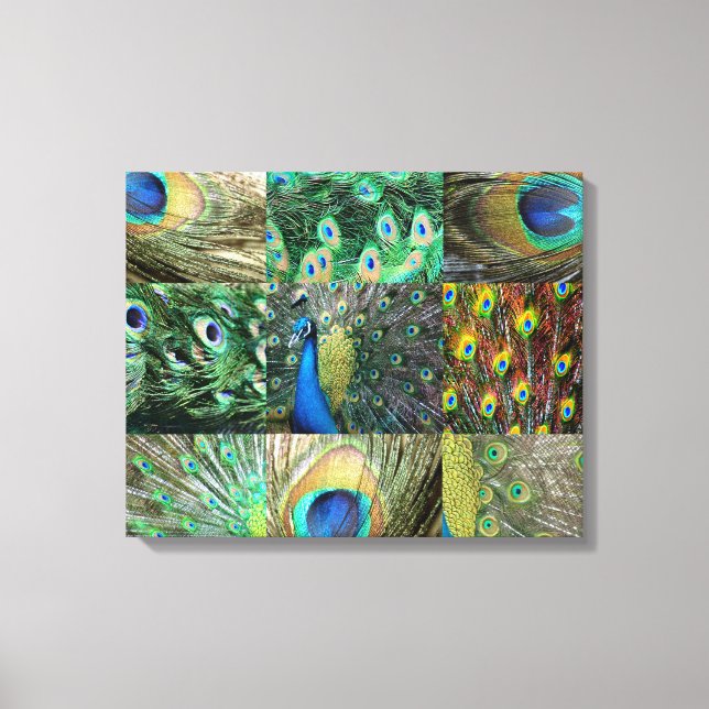Collage of Green Blue Peacock Foto Leinwanddruck (Vorderseite)