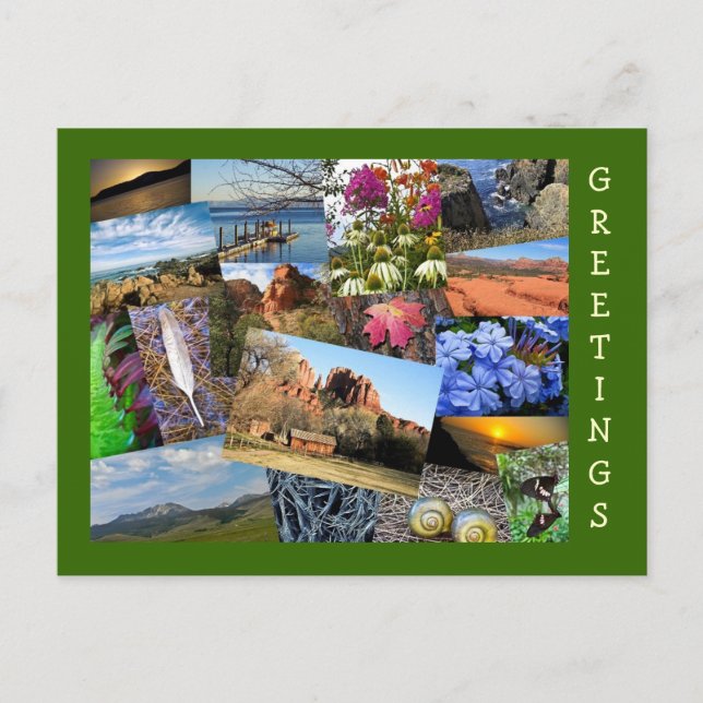 Collage of Nature & Wildlife Postkarte (Vorderseite)