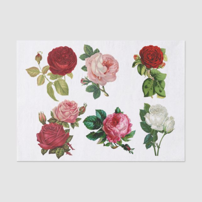 Collage of Rose Seidenpapier (Vorderseite)