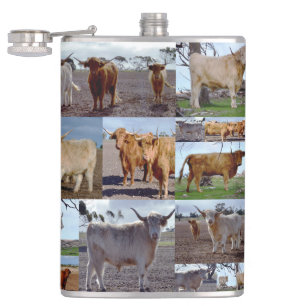 Collage Photo De Vaches Highland, Flacon De Hanche