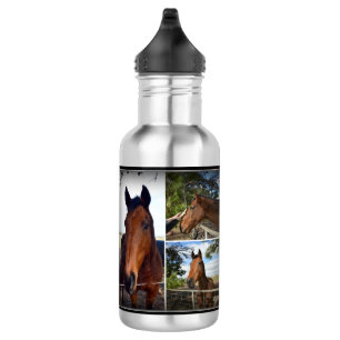 Collage photo du cheval Brown, bouteille d'eau