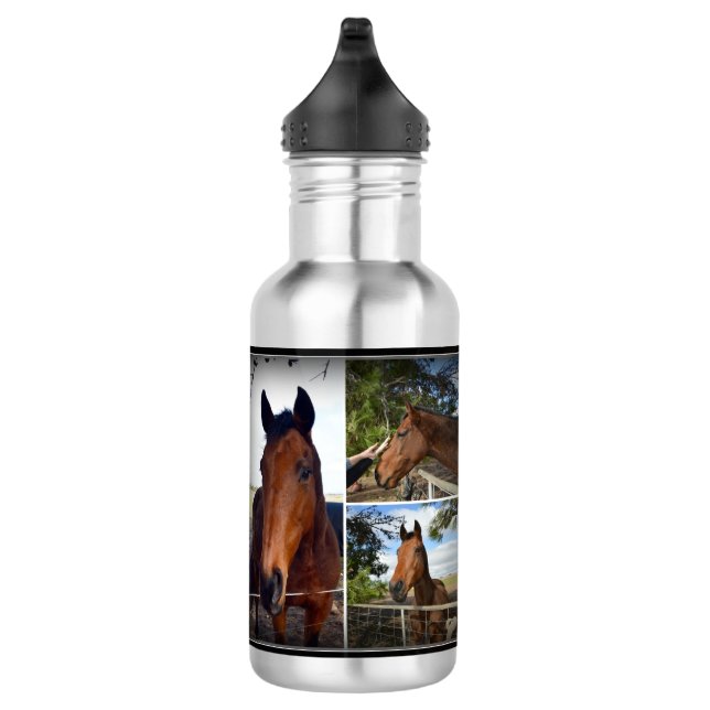 Collage photo du cheval Brown, bouteille d'eau (Droite)