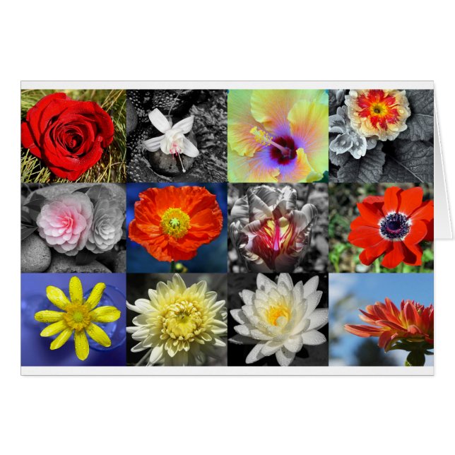 Collage photo Love Flowers (Devant horizontal)